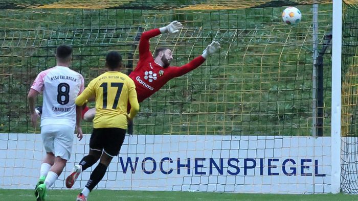 Fußball-Bayernliga Nord: Erlangen beendet Hofer Serie