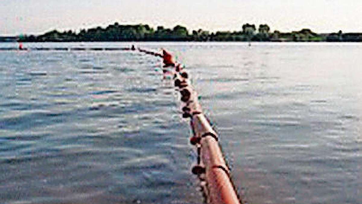 Hof: Barrieren sollen Gänse vom See fernhalten