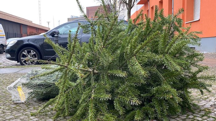 Regnitzlosau bietet Möglichkeit, Weihnachtsbaum zu entsorgen