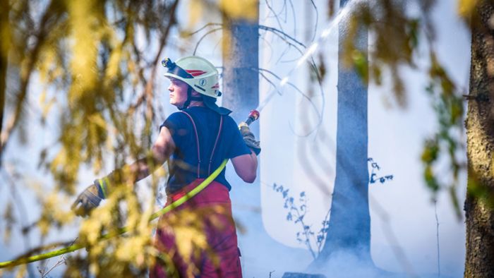 Feuerwehr  befürchtet  mehr Waldbrände