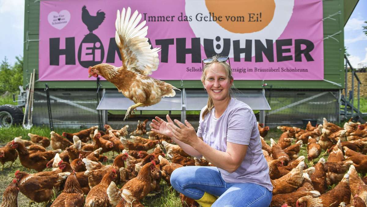 Hühner-Glück in Schönbrunn: Paradiesische Zustände für Hühner