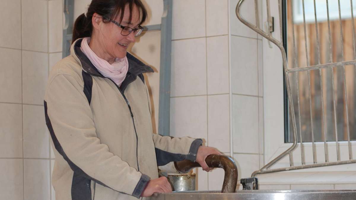 Müllerin gibt Einblicke: Ukrainekonflikt beeinflusst Brot-Produktion