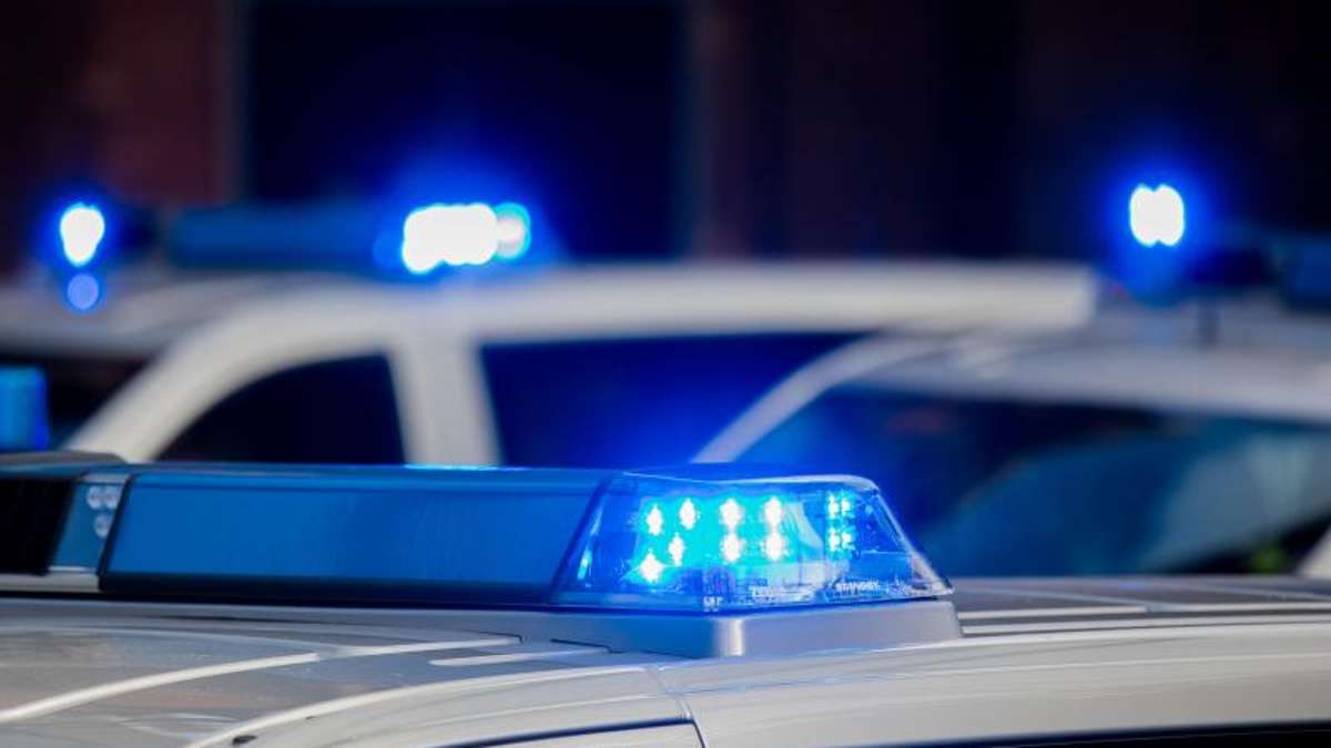 Hof: Hof: 30-Jährige rastet in der Altstadtpassage aus und tritt Polizisten