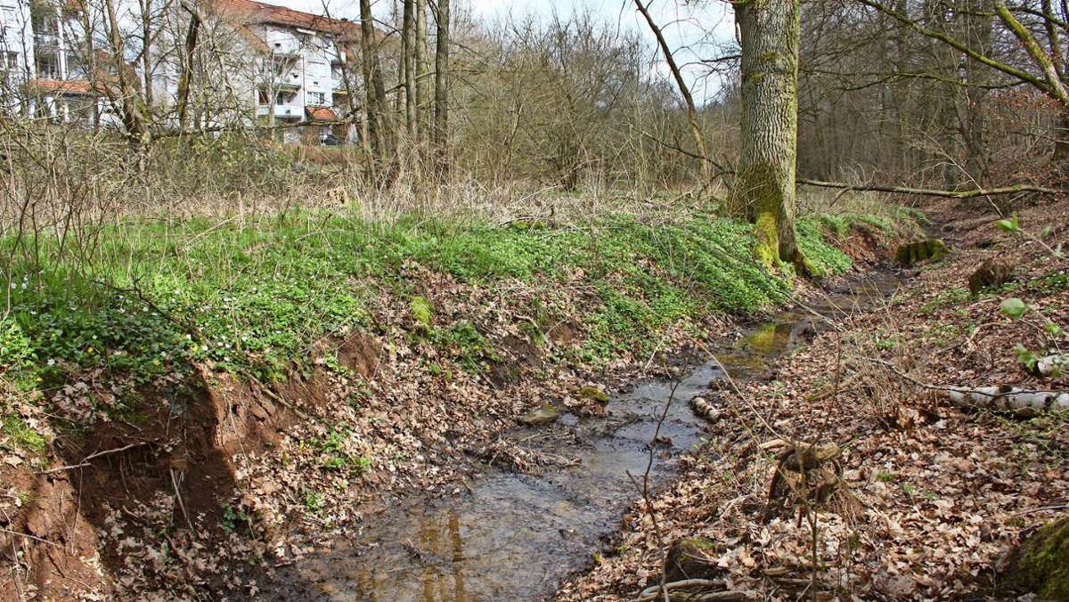 Hochwasser: Kompletter Schutz für Kulmbachs Norden