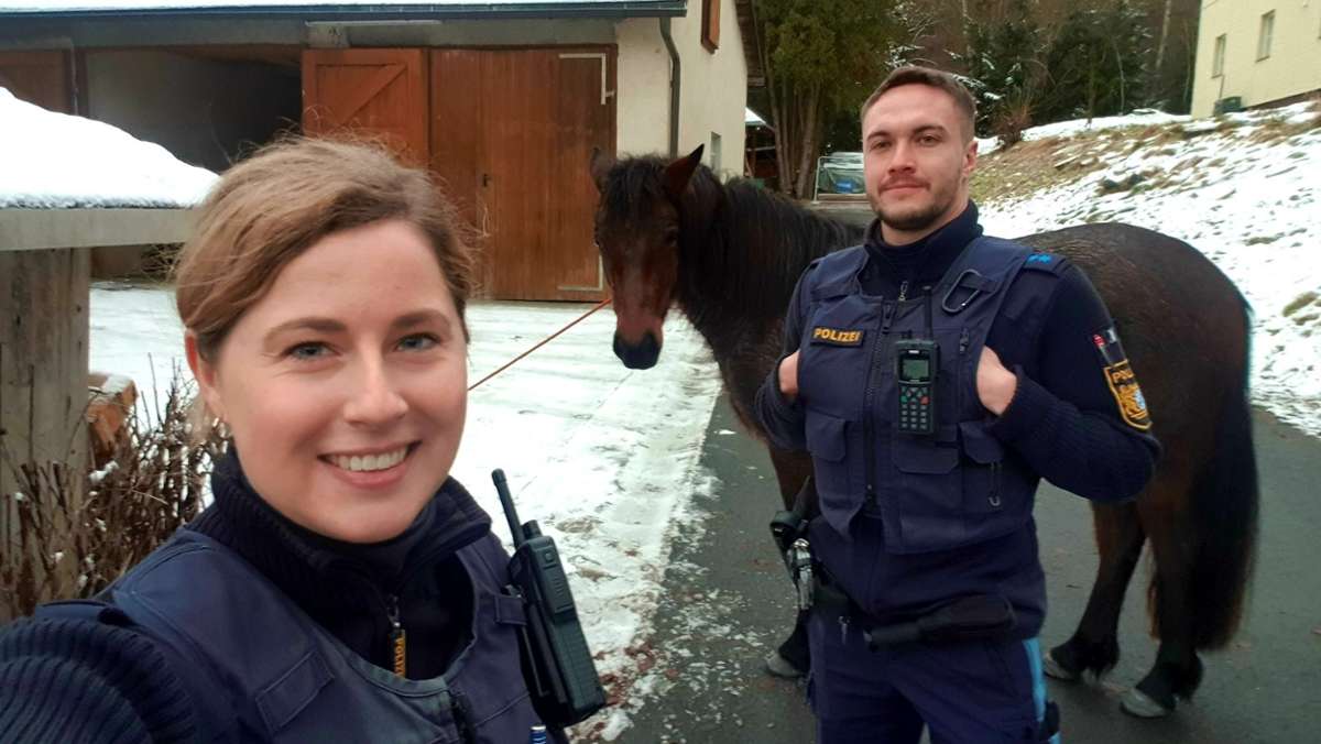 Cowboy-Einsatz: Polizisten fangen Pferde in Thierstein ein