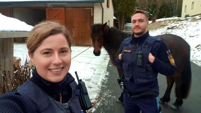 Polizisten fangen Pferde in Thierstein ein