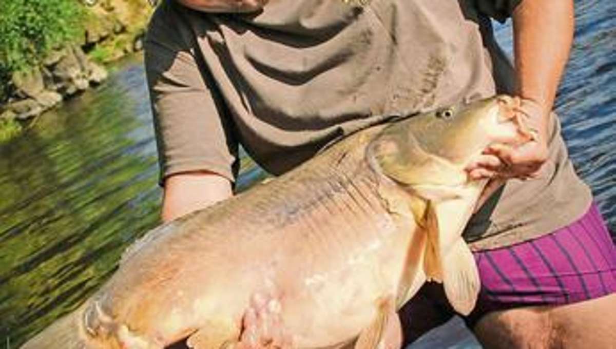 Fichtelgebirge: Riesenfische beißen im Doppelpack