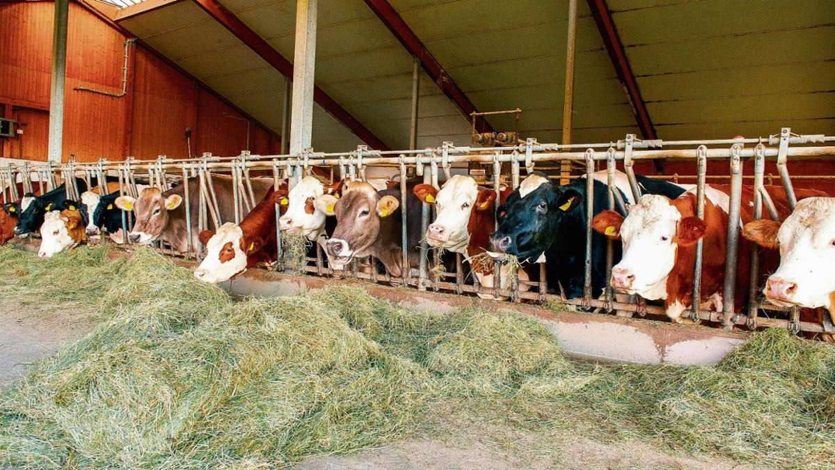 Kulmbach: Tierwohl steht für Bauern ganz oben