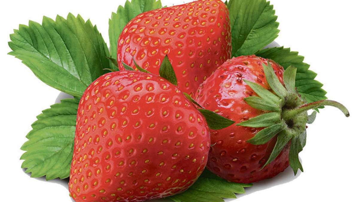Fichtelgebirge: Endspurt bei den Erdbeeren im Fichtelgebirge