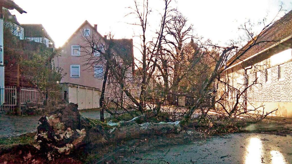 Kulmbach: Herwart stößt Bäume und Zäune um