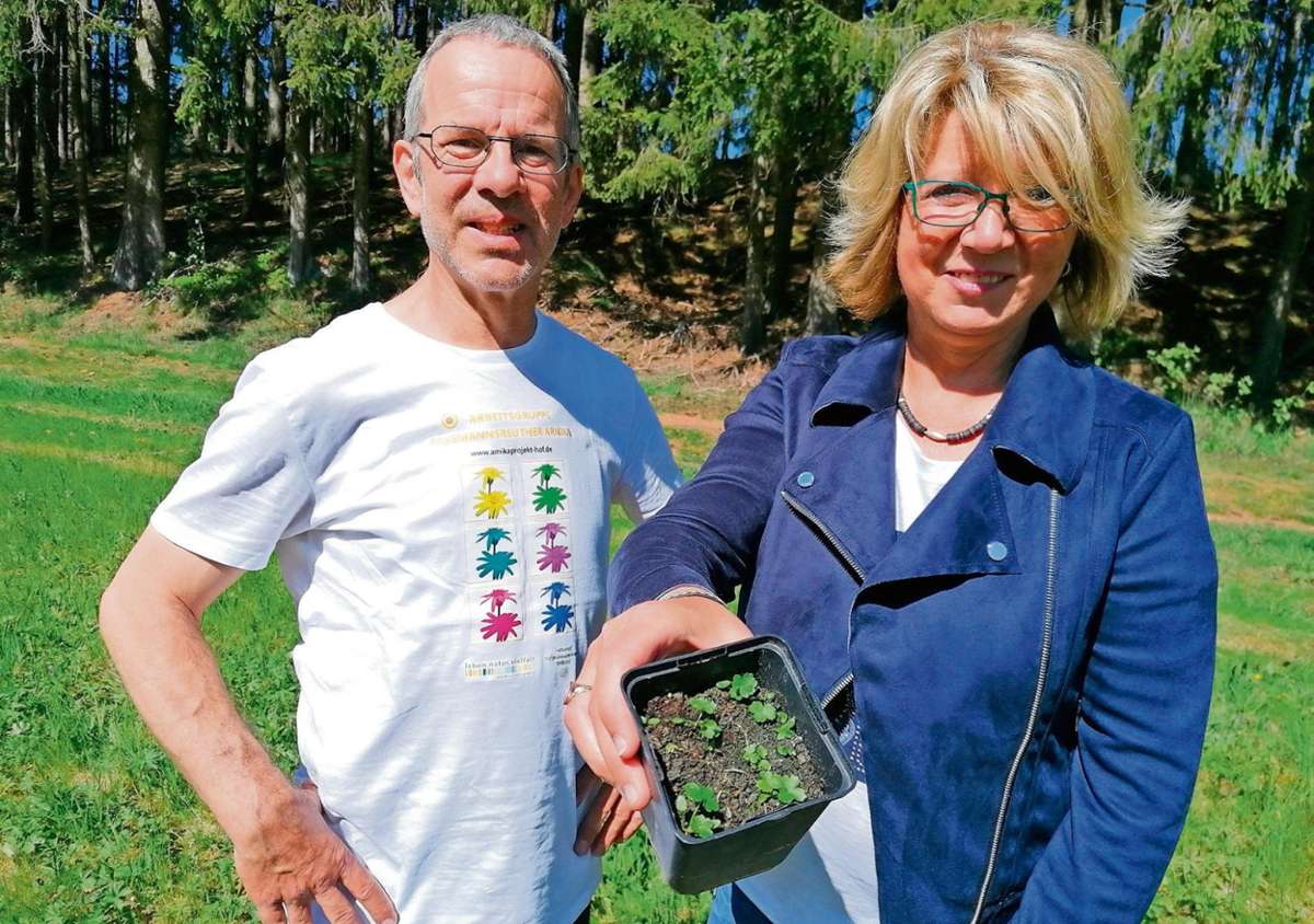 Biologe Thomas Blachnik und Regina Saller vom Landschaftspflegeverband setzen sich für die Artenvielfalt auf Wiesen im Frankenwald ein. Dafür suchen sie nun ehrenamtliche Mitstreiter. Fotos: Gödde