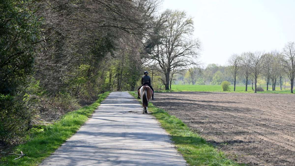 Drama in Niedersachsen: Auto stößt mit Pferd und Reiterin zusammen – beide tot