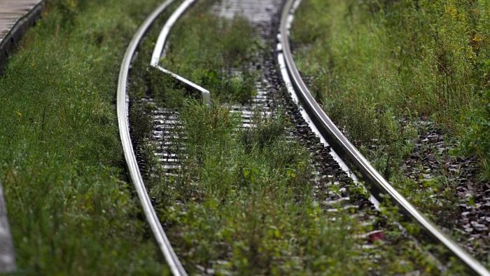 Gleise ohne Glyphosat: Bahn will weniger Gift spritzen