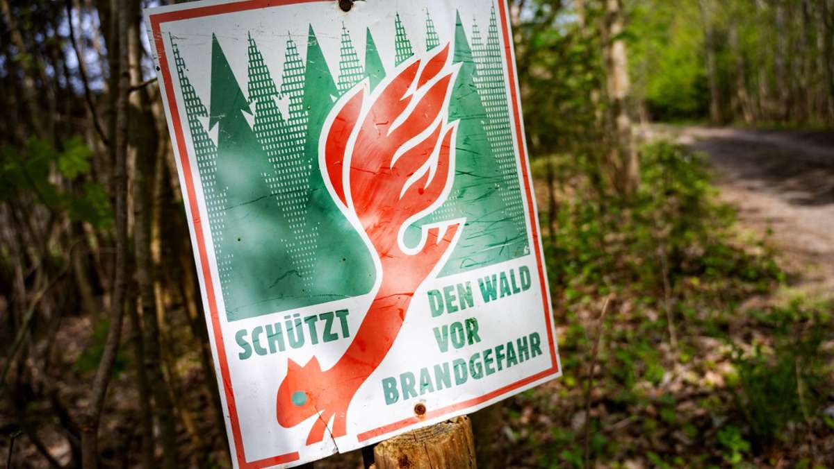 In Oberfrankens Wäldern: Brandgefahr bleibt enorm hoch