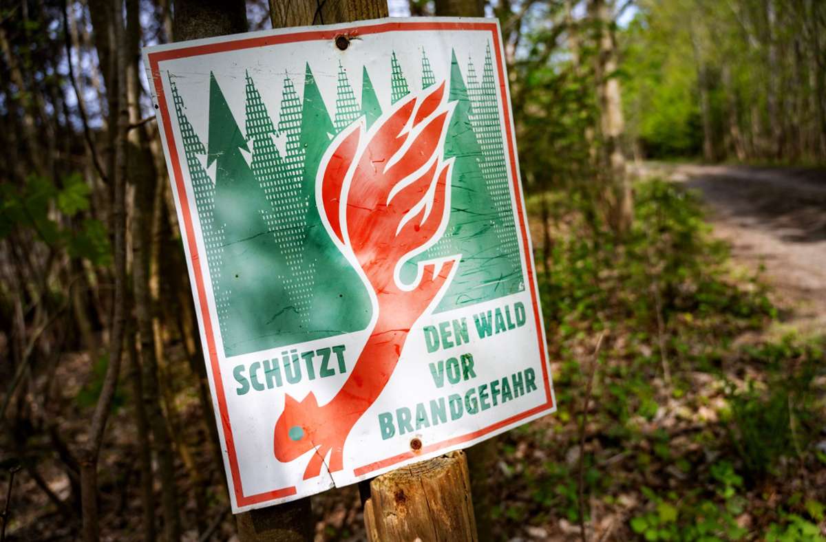 Rauchen sowie offenes Feuer und Grillen sind in Wäldern von Mai bis Oktober ohnehin verboten. Foto: picture alliance/dpa/Stefan Sauer