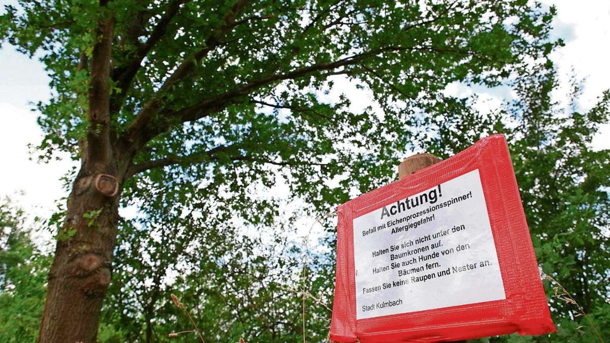 Kulmbach: Alarmstufe Rot für Allergiker