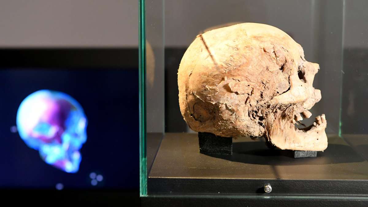 Hildesheim: Museumsbesucher können Mumie in 3D betrachten
