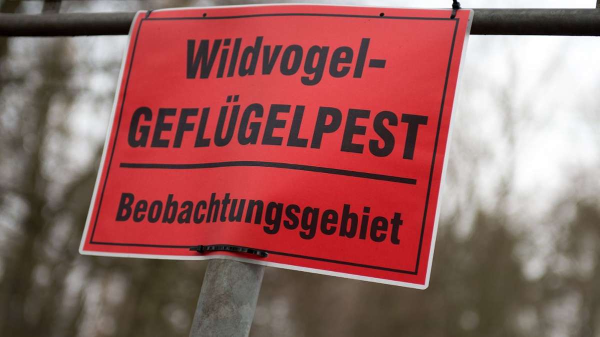 Zwei tote Wildvögel gefunden: Bayreuth: Verdacht auf Geflügelpest am Röhrensee