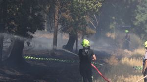 Thüringenforst sieht sich gut gegen Waldbrände gewappnet