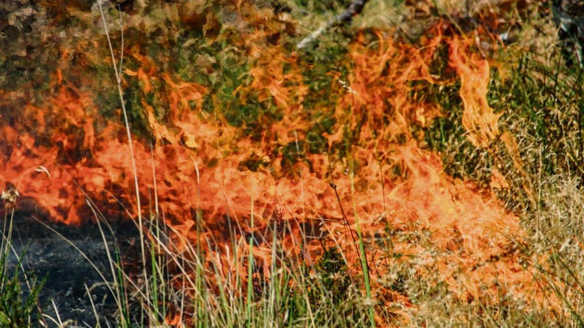 Wunsiedel: Landratsamt warnt vor erhöhter Waldbrandgefahr