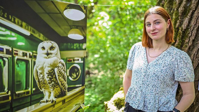 Die Eule im Waschsalon: KI-generierte Bilder im Hofer Zoo