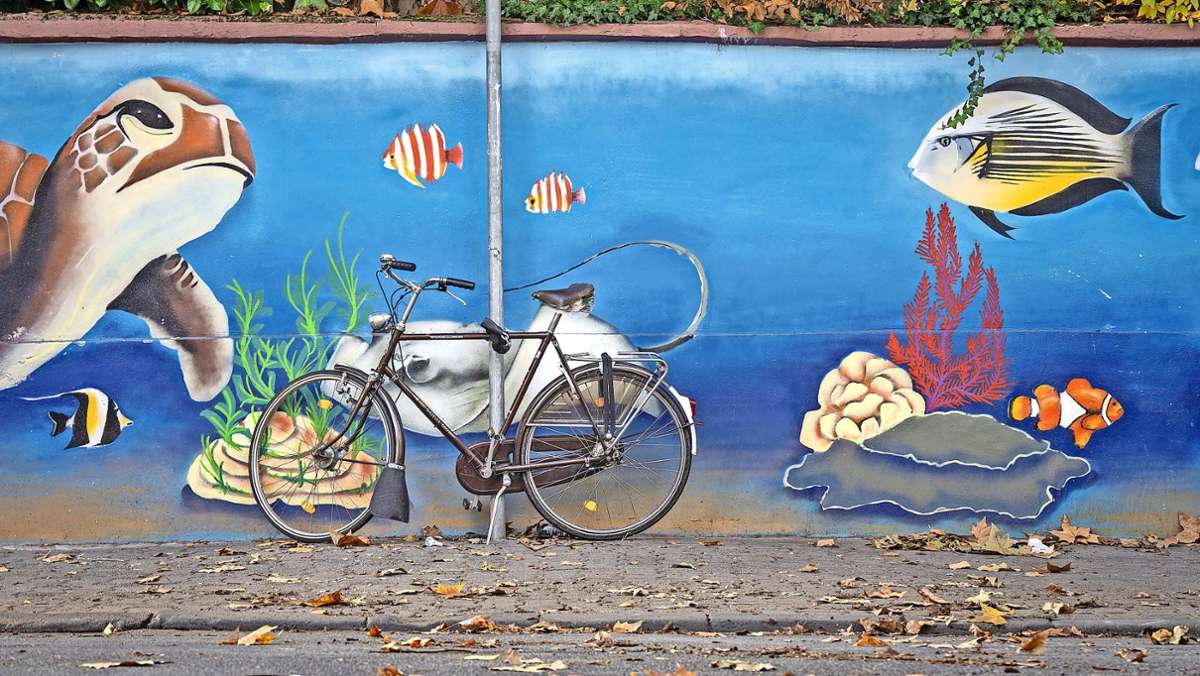 Fahrraddiebstahl in Kulmbach: Und die Besitzer sind radlos