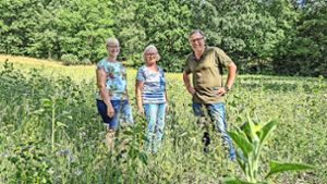 Kulmbach: Dürre bedroht den Artenschutz