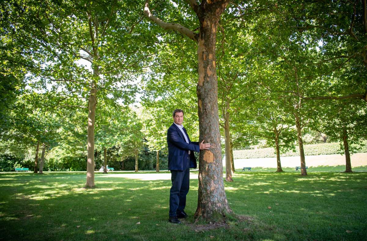 Markus Söder (CSU), Ministerpräsident von Bayern, steht neben einem Baum im Hofgarten hinter der bayerischen Staatskanzlei. Foto: dpa/Peter Kneffel