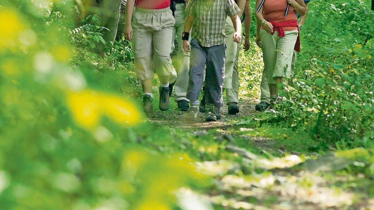 Steinwiesen: Naturpark Frankenwald soll wachsen
