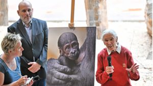 Nachrichten aus Böhmen: Tierforscherin Jane Godall tauft Gorillababy