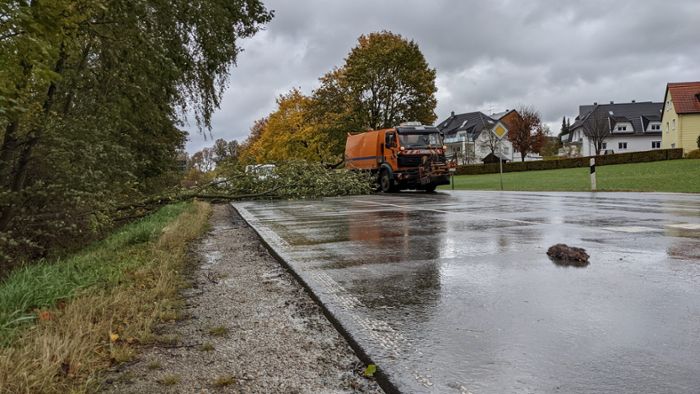 Sturm Ignatz tobt in Oberfranken: Schäden - Bäume stürzen auf Haus