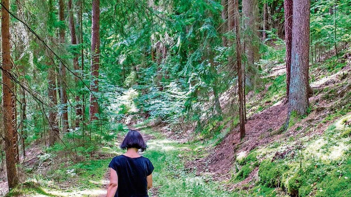 Kulmbach: Wandertag verspricht Naturvergnügen pur