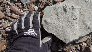 200 Millionen Jahre alter Saurier-Fußabdruck entdeckt