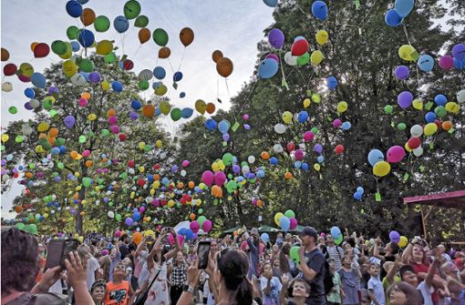 So schön wie 2019 soll es wieder werden: Im Juli feiert Helmbrechts Wiesenfest. Foto: cs