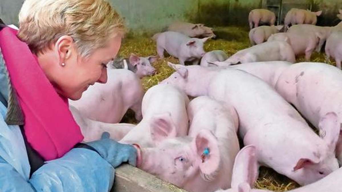 Naila: Fleisch von glücklichen Mastschweinen