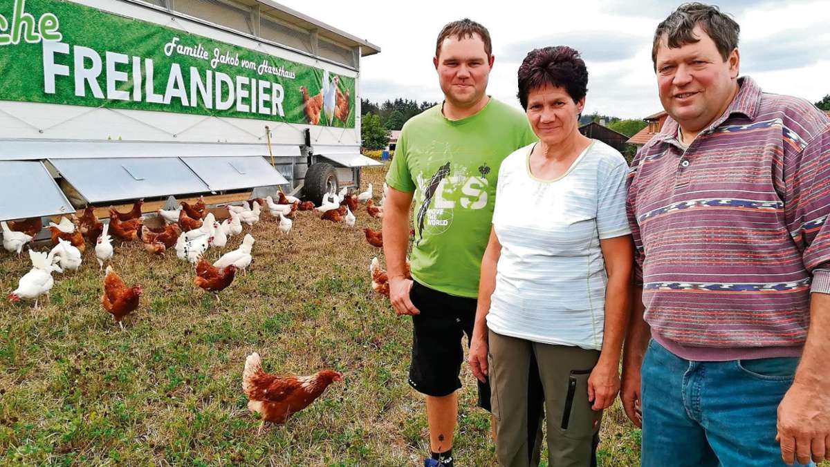 Rehau: Hühnerstall auf Wanderschaft