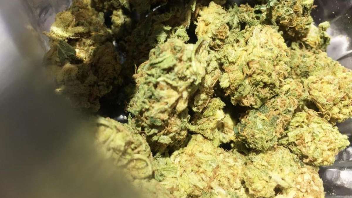 Berg/Vilshofen: A9/Berg: Polizei findet 14 Kilogramm Marihuana