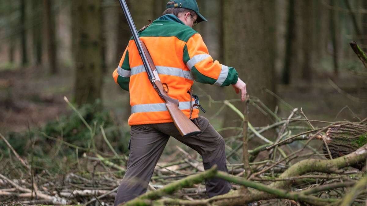 Vorsicht am Waldstein: Jäger auf Drückjagd