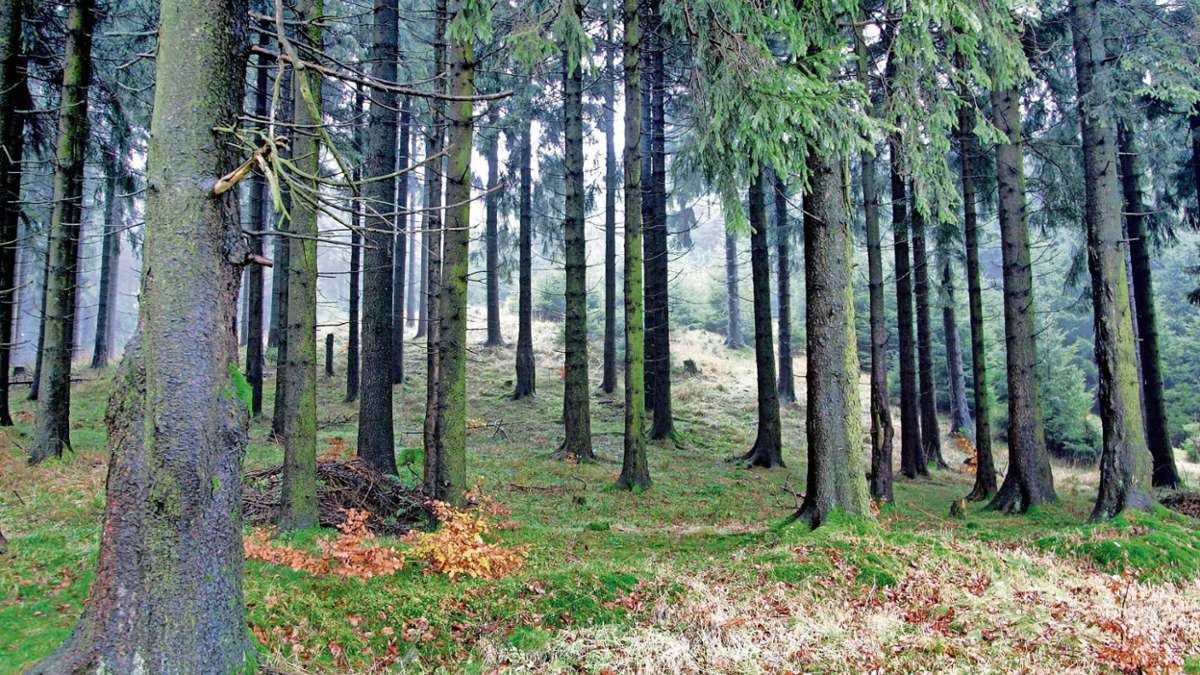 Kronach: Hofer Professor vergibt die Note sechs für Unser Frankenwald