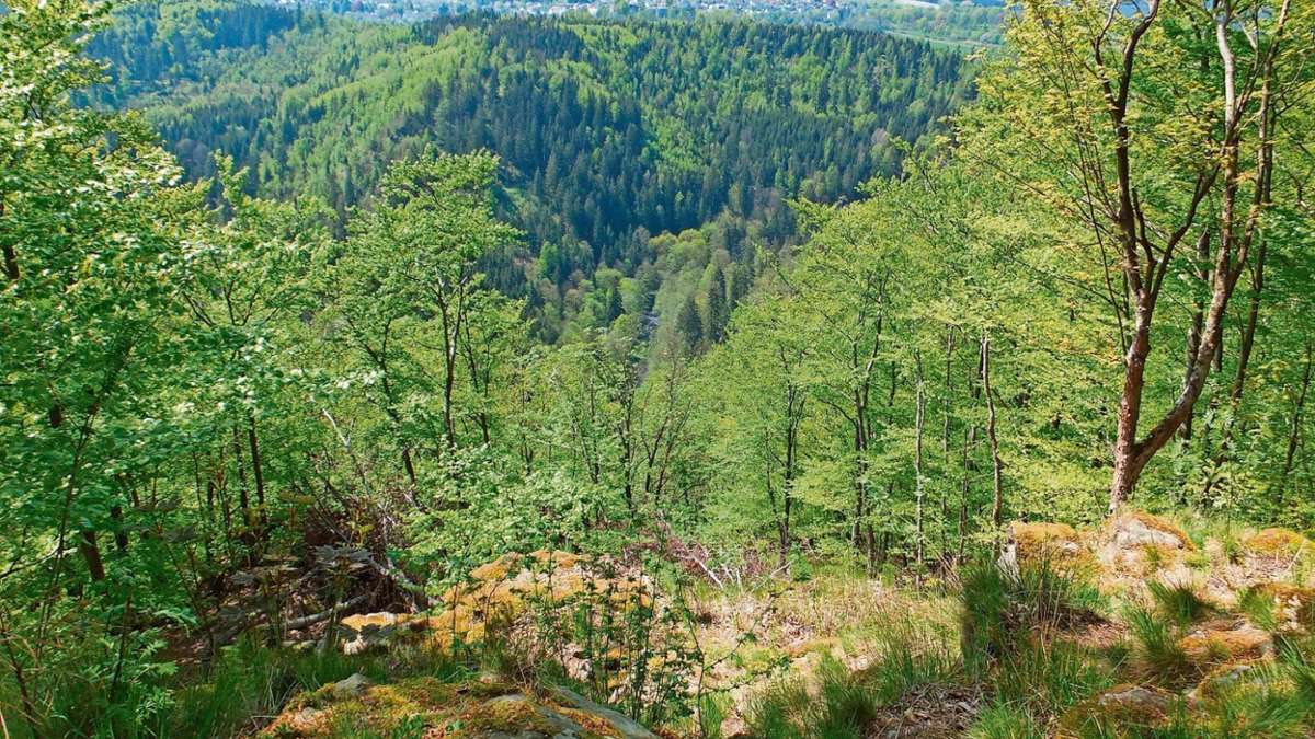 Bad Steben: Frankenwald erzielt Plus an Gästen