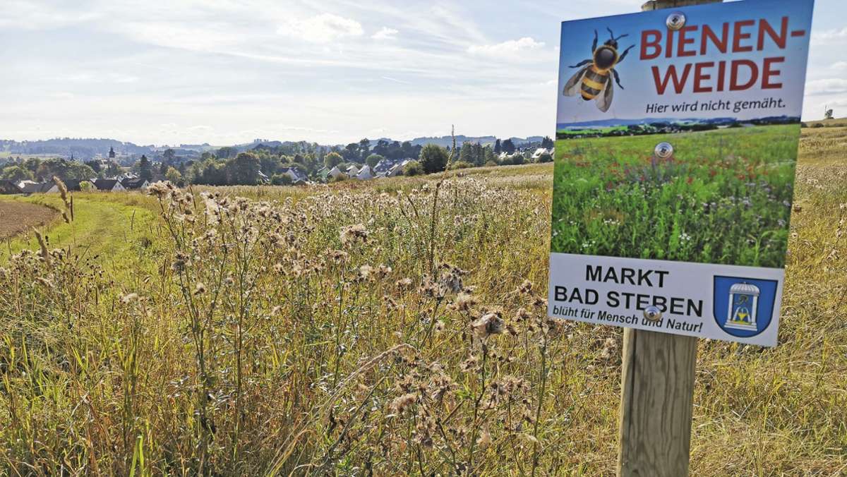 Wegen Insektenschutz: Im Landkreis Hof wird weniger gemäht