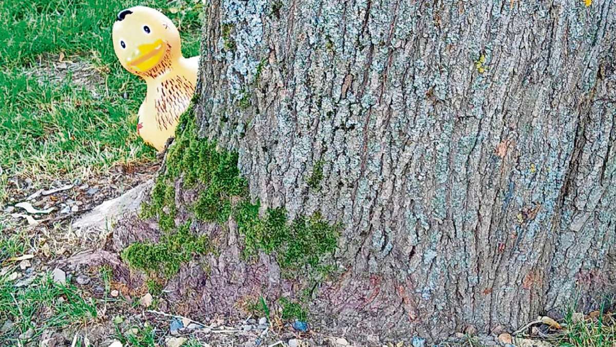 Hof: Jagd auf die gelben Enten