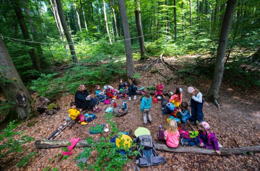 Waldkindergärten kommen gut an bei Eltern. Jetzt macht sich in Kulmbach die AWO mit einem eigenen Projekt auf den Weg. Foto: dpa/Andreas Arnold
