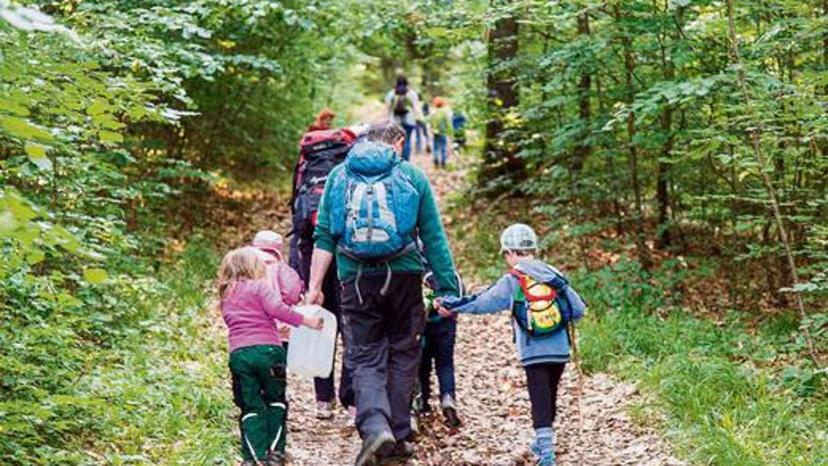 Hof: Verein plant Waldkindergarten
