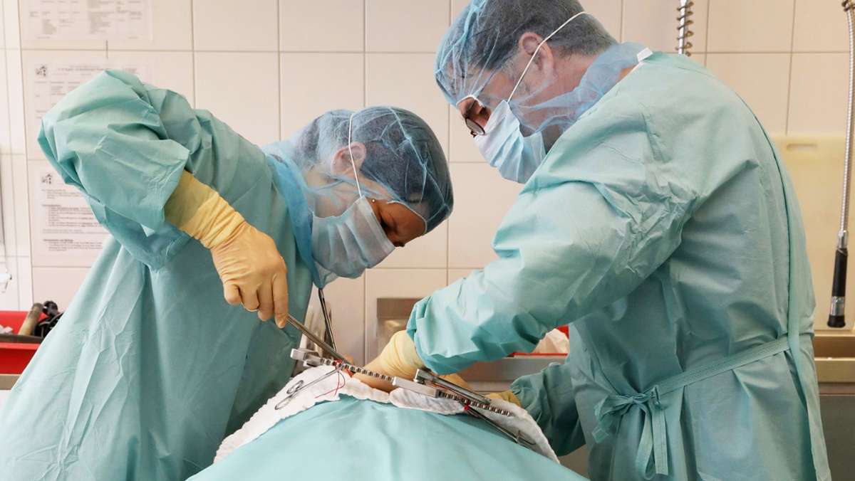 Organspenden in der Coronakrise: Zahl der Spender trotz Pandemie kaum gesunken