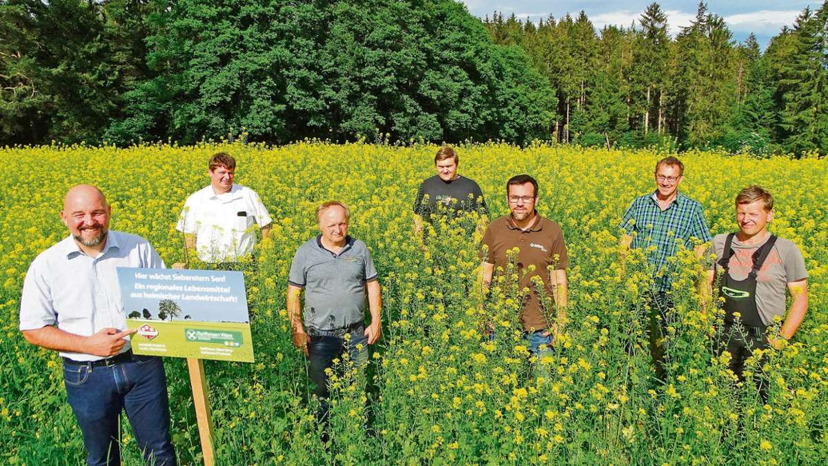 Oberkotzau: Senf wächst jetzt auch in Oberfranken