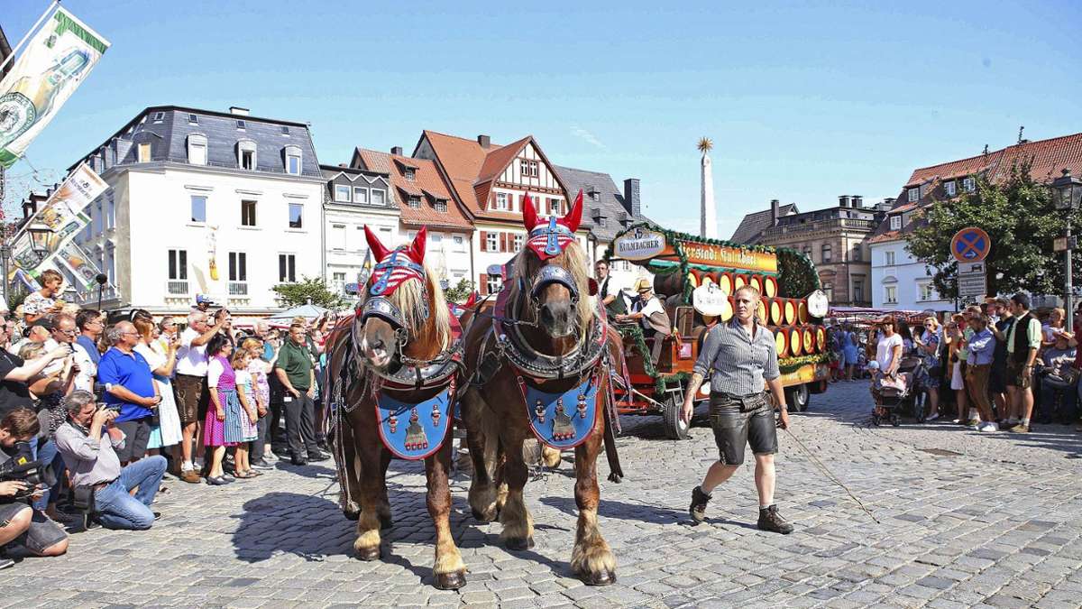 Gutes Gespann: So üben die Kulmbacher Pferde für den Festzug