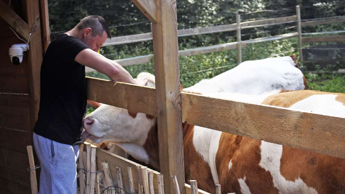 Waldstein: Gnadenhof für Gänse, Kühe und Schweine