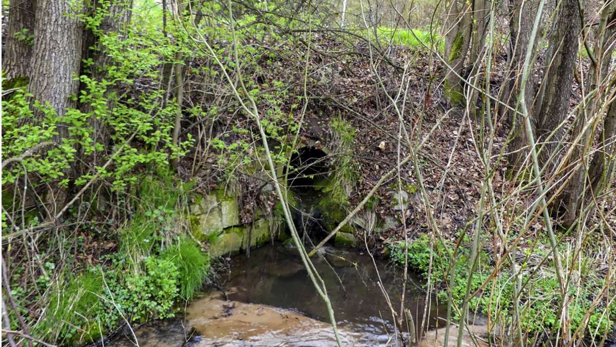 Gemeinde muss nachbessern: Ungefiltertes Wasser fließt in Forellenbach