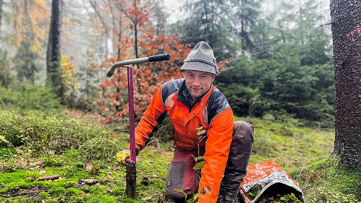 50.000 Bäume für Oberfranken: Laubbäume gesellen sich zu Fichten am Ochsenkopf